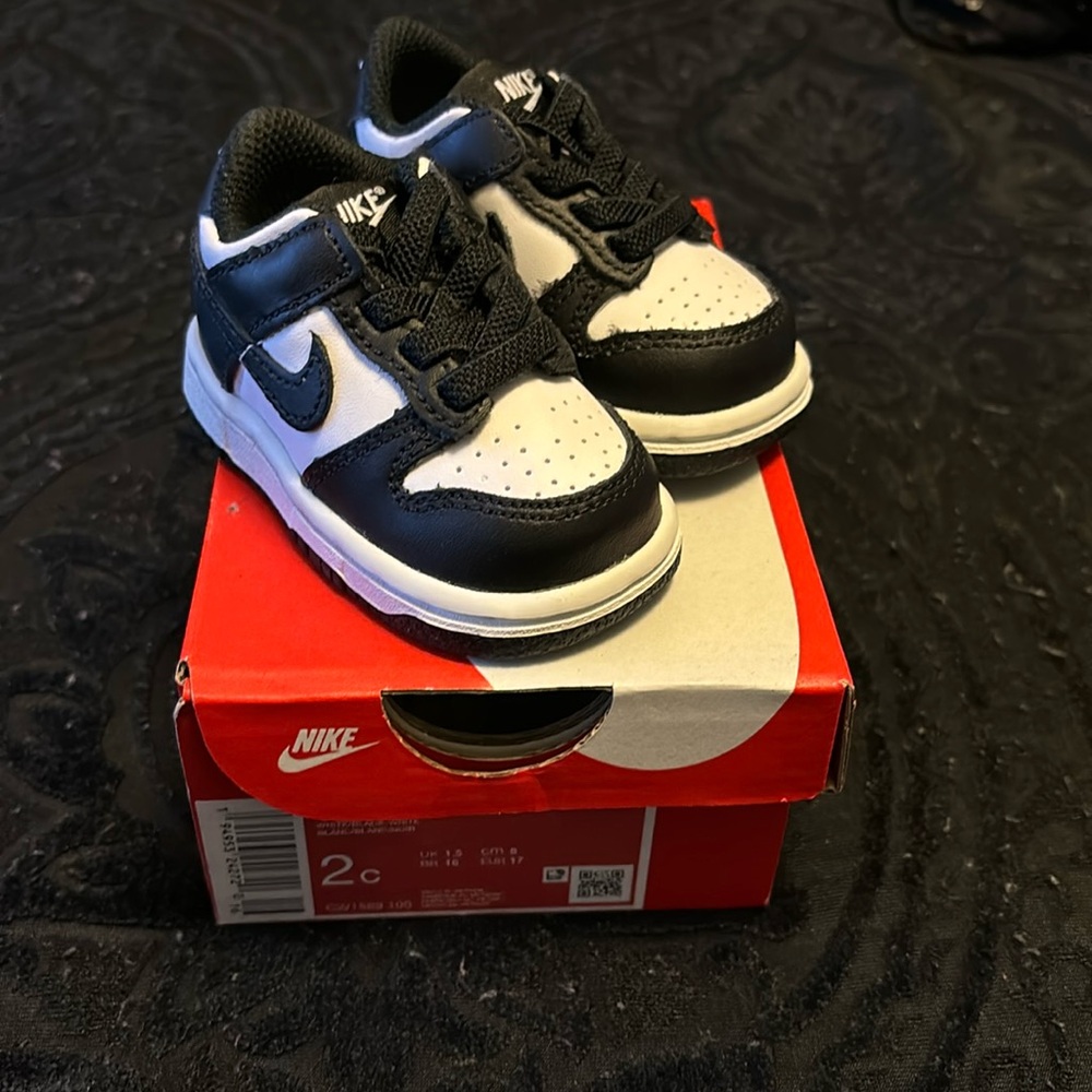 Baby panda dunks